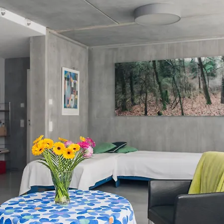 1 Zimmer-apartment Zentrum